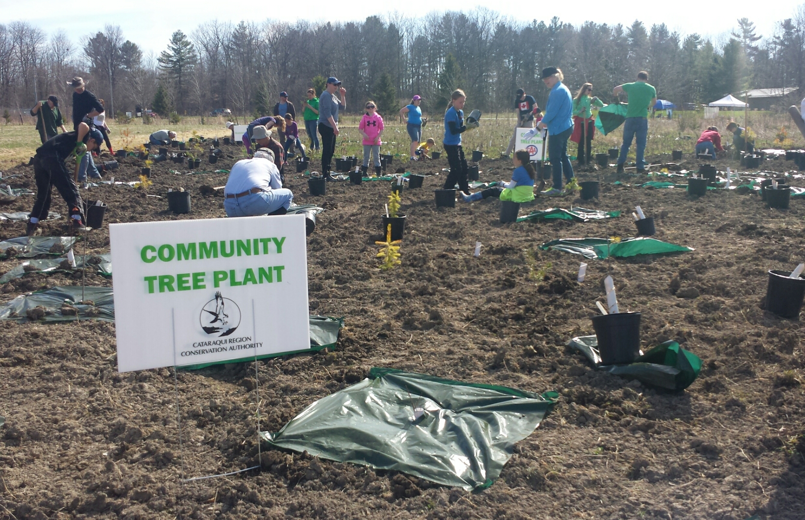 Community tree planting - May 2 2015