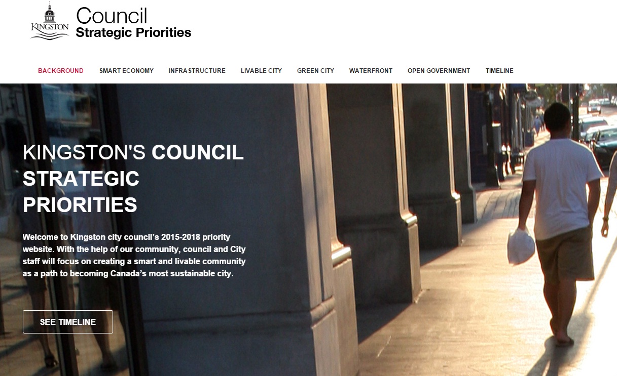 screenshot of council priorities site